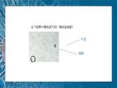 3.1细胞膜的结构和功能 教学课件 高一上学期 人教版（2019）高中生物必修1