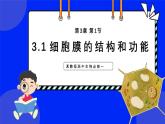 3.1细胞膜的结构和功能 教学课件 高一上学期人教版（2019）高中生物必修1
