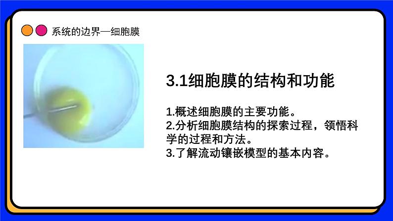 3.1细胞膜的结构和功能 教学课件 高一上学期人教版（2019）高中生物必修102