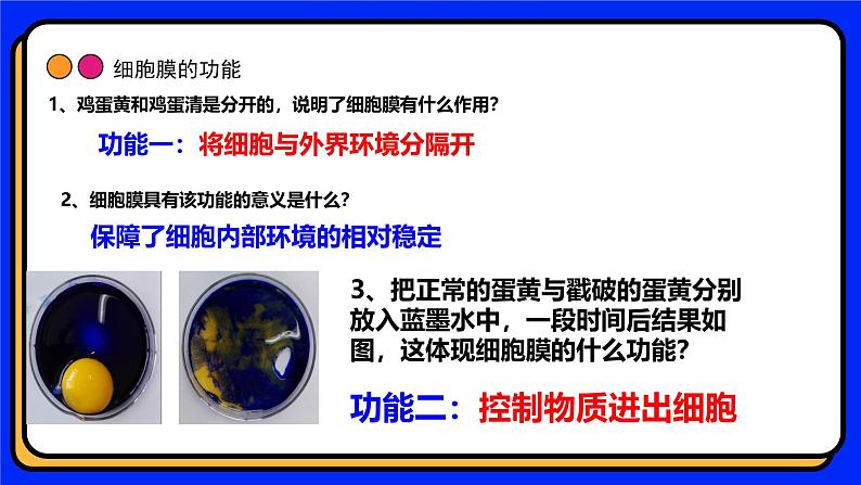 3.1细胞膜的结构和功能 教学课件 高一上学期人教版（2019）高中生物必修104