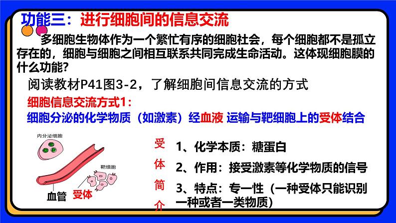 3.1细胞膜的结构和功能 教学课件 高一上学期人教版（2019）高中生物必修106