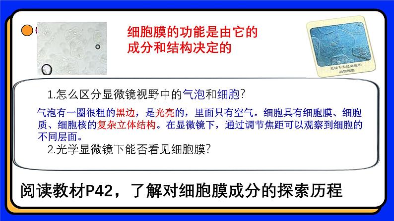 3.1细胞膜的结构和功能 教学课件 高一上学期人教版（2019）高中生物必修108