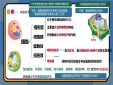 3,2细胞器之间的分工合作 课件 高一上学期 人教版（2019）高中生物必修1