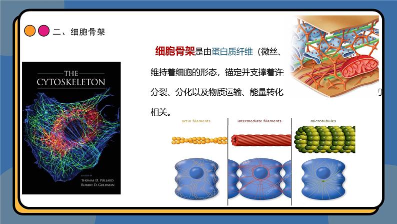 3,2细胞器之间的分工合作 课件 高一上学期 人教版（2019）高中生物必修1第6页