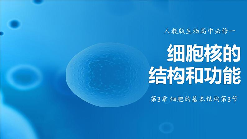 3.3细胞核的结构和功能 课件-2024-2025学年高一上生物人教版（2019）必修1第1页