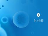 3.3细胞核的结构和功能 课件-2024-2025学年高一上生物人教版（2019）必修1