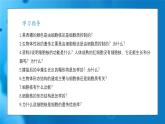 3.3细胞核的结构和功能 课件-2024-2025学年高一上生物人教版（2019）必修1
