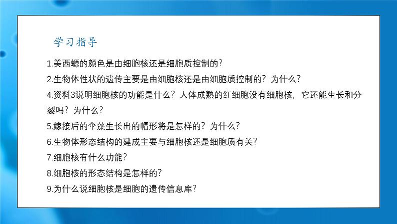 3.3细胞核的结构和功能 课件-2024-2025学年高一上生物人教版（2019）必修1第4页