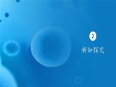 3.3细胞核的结构和功能 课件-2024-2025学年高一上生物人教版（2019）必修1