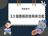 3.3细胞核的结构和功能课件-2024-2025学年高一上生物人教版（2019）必修1