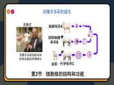 3.3细胞核的结构和功能课件-2024-2025学年高一上生物人教版（2019）必修1
