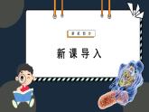 3.3细胞核的结构和功能课件-2024-2025学年高一上生物人教版（2019）必修1