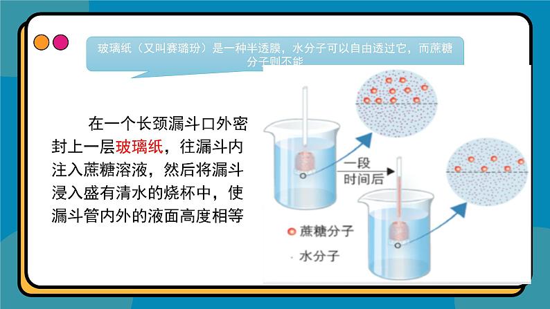 4.1被动运输课件-2024-2025学年高一上生物人教版（2019）必修1第3页