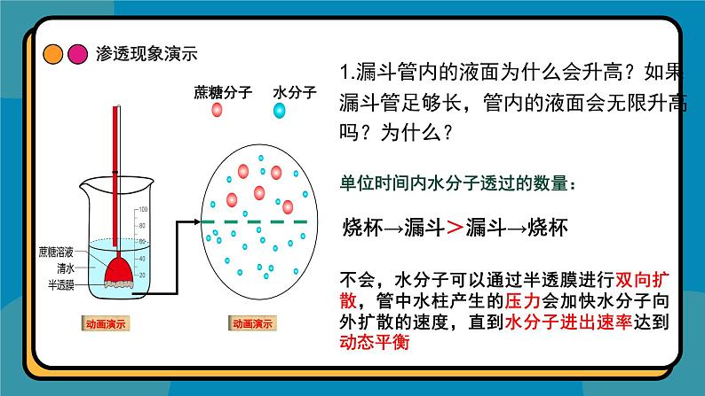 4.1被动运输课件-2024-2025学年高一上生物人教版（2019）必修1第5页