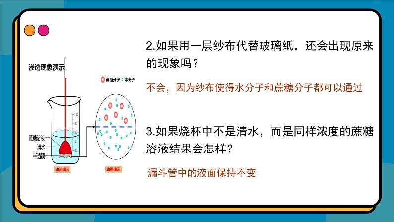 4.1被动运输课件-2024-2025学年高一上生物人教版（2019）必修1第7页