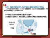 4.2主动运输与胞吞、胞吐课件-2024-2025学年高一上生物人教版（2019）必修1
