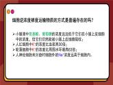 4.2主动运输与胞吞、胞吐课件-2024-2025学年高一上生物人教版（2019）必修1