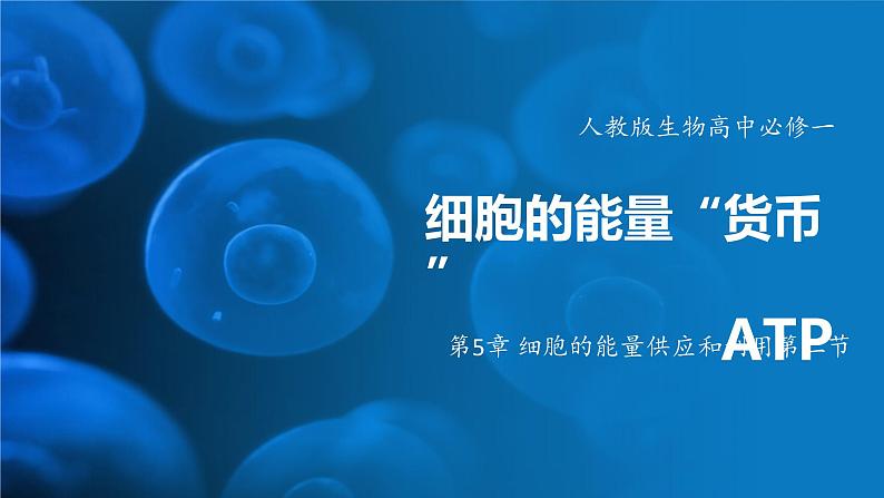 5.2细胞的能量“货币”ATP 课件-2024-2025学年高一上生物人教版（2019）必修1第1页