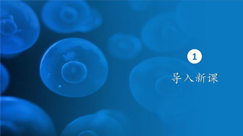 5.2细胞的能量“货币”ATP 课件-2024-2025学年高一上生物人教版（2019）必修1第2页