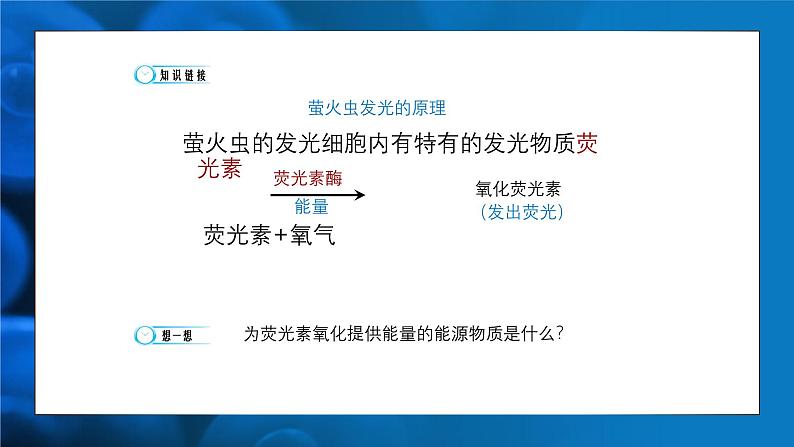 5.2细胞的能量“货币”ATP 课件-2024-2025学年高一上生物人教版（2019）必修1第4页