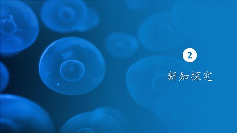 5.2细胞的能量“货币”ATP 课件-2024-2025学年高一上生物人教版（2019）必修1第7页