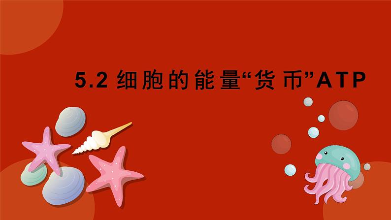 5.2细胞的能量“货币”ATP课件-2024-2025学年高一上生物人教版（2019）必修1第1页