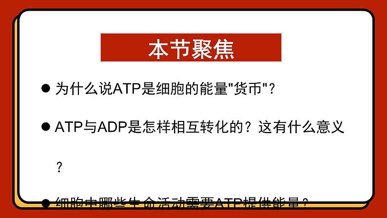 5.2细胞的能量“货币”ATP课件-2024-2025学年高一上生物人教版（2019）必修1第2页