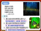 5.2细胞的能量“货币”ATP课件-2024-2025学年高一上生物人教版（2019）必修1
