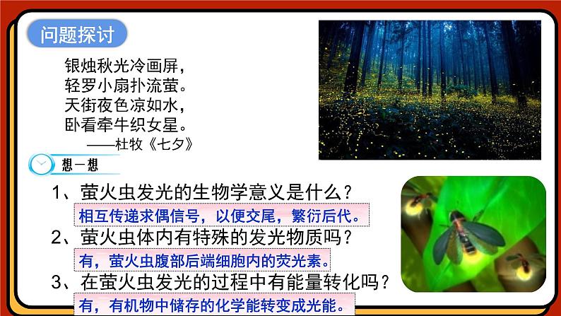 5.2细胞的能量“货币”ATP课件-2024-2025学年高一上生物人教版（2019）必修1第4页