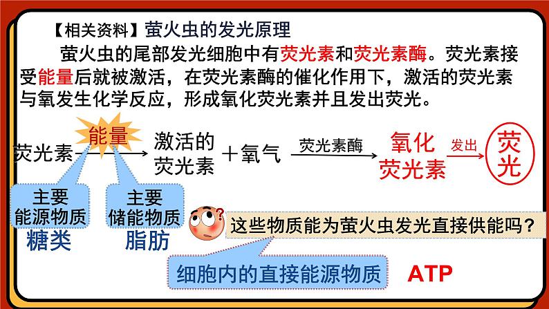 5.2细胞的能量“货币”ATP课件-2024-2025学年高一上生物人教版（2019）必修1第5页