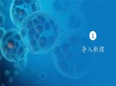 5.3细胞呼吸的原理和应用 课件-2024-2025学年 高一上生物人教版（2019）必修1