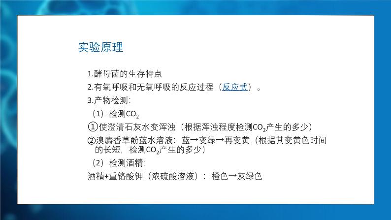 5.3细胞呼吸的原理和应用 课件-2024-2025学年 高一上生物人教版（2019）必修1第6页