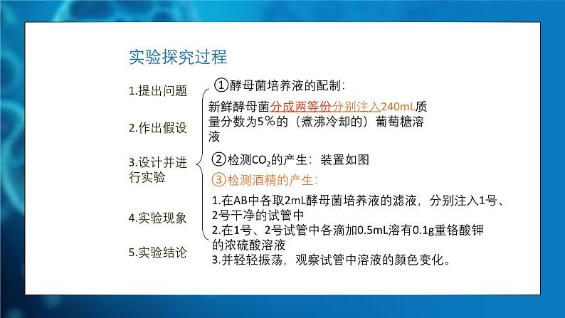 5.3细胞呼吸的原理和应用 课件-2024-2025学年 高一上生物人教版（2019）必修1第8页