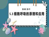 5.3细胞呼吸的原理和应用 课件-2024-2025学年高一上生物人教版（2019）必修1