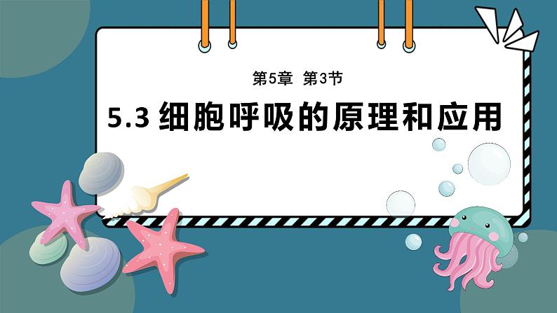 5.3细胞呼吸的原理和应用 课件-2024-2025学年高一上生物人教版（2019）必修101