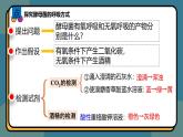 5.3细胞呼吸的原理和应用 课件-2024-2025学年高一上生物人教版（2019）必修1