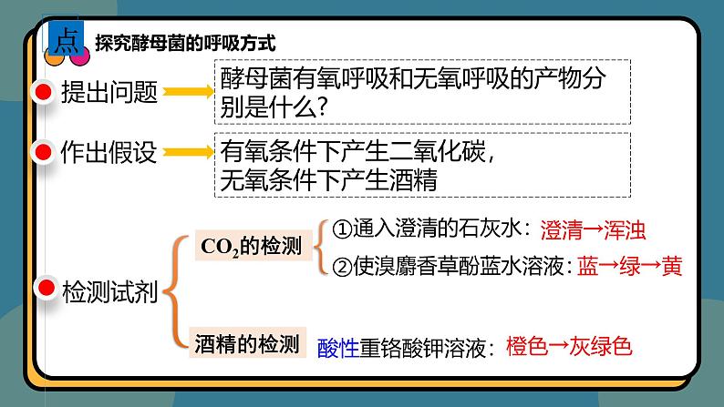 5.3细胞呼吸的原理和应用 课件-2024-2025学年高一上生物人教版（2019）必修105