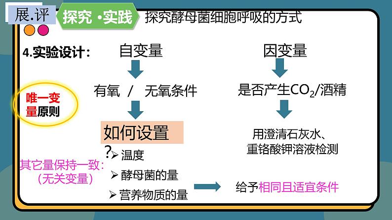 5.3细胞呼吸的原理和应用 课件-2024-2025学年高一上生物人教版（2019）必修106