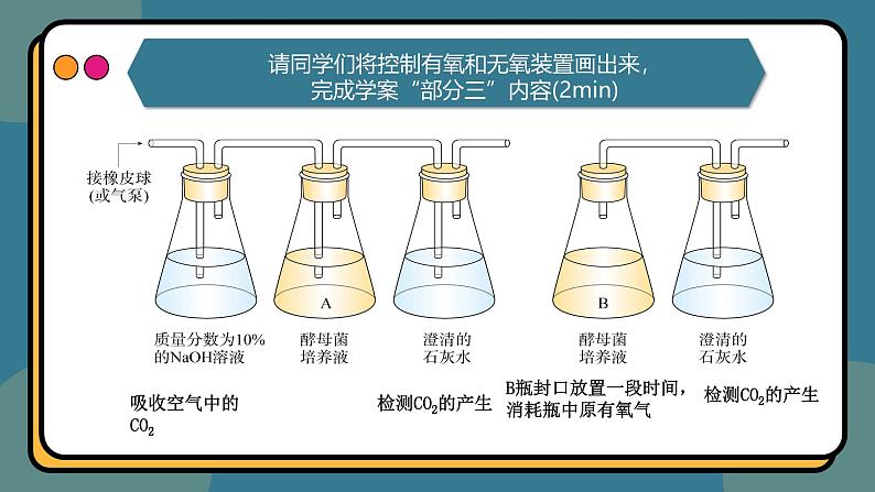 5.3细胞呼吸的原理和应用 课件-2024-2025学年高一上生物人教版（2019）必修107