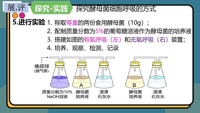 5.3细胞呼吸的原理和应用 课件-2024-2025学年高一上生物人教版（2019）必修108