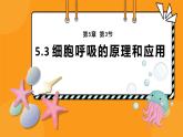 5.3细胞呼吸的原理和应用课件-2024-2025学年高一上生物人教版（2019）必修1