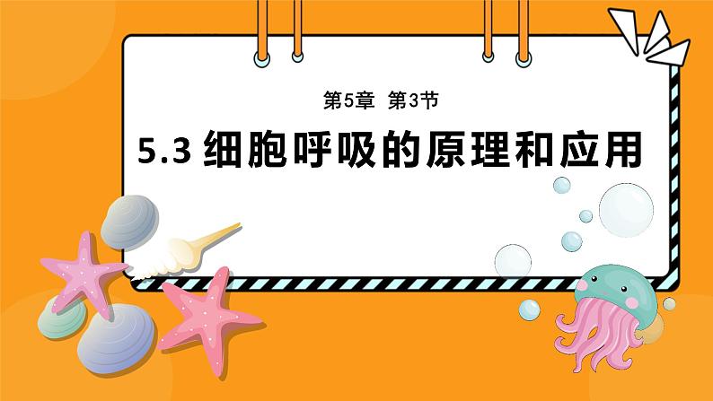 5.3细胞呼吸的原理和应用课件-2024-2025学年高一上生物人教版（2019）必修101