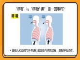 5.3细胞呼吸的原理和应用课件-2024-2025学年高一上生物人教版（2019）必修1
