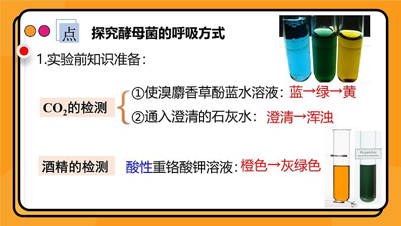 5.3细胞呼吸的原理和应用课件-2024-2025学年高一上生物人教版（2019）必修107