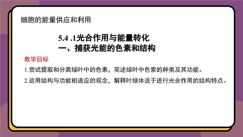 5.4.1捕获光能的色素和结构 教学课件 高一上学期 人教版（2019）高中生物必修1第1页