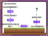 5.4.1捕获光能的色素和结构 教学课件 高一上学期 人教版（2019）高中生物必修1
