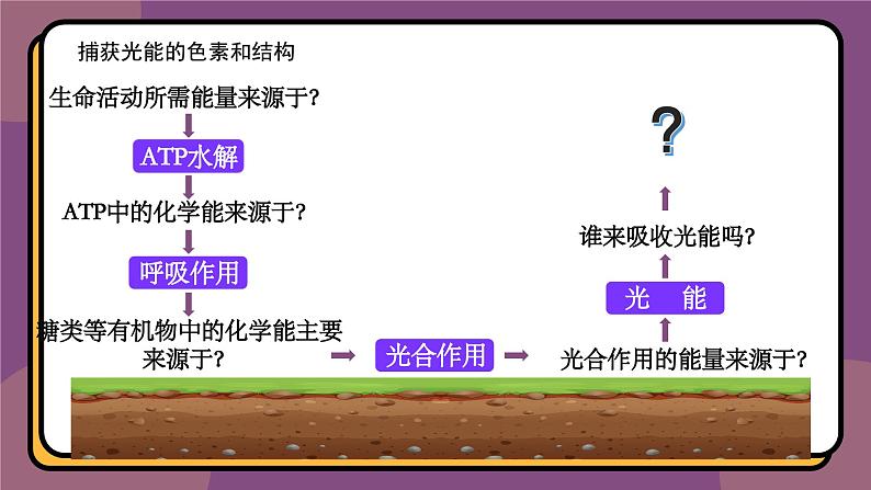 5.4.1捕获光能的色素和结构 教学课件 高一上学期 人教版（2019）高中生物必修1第4页