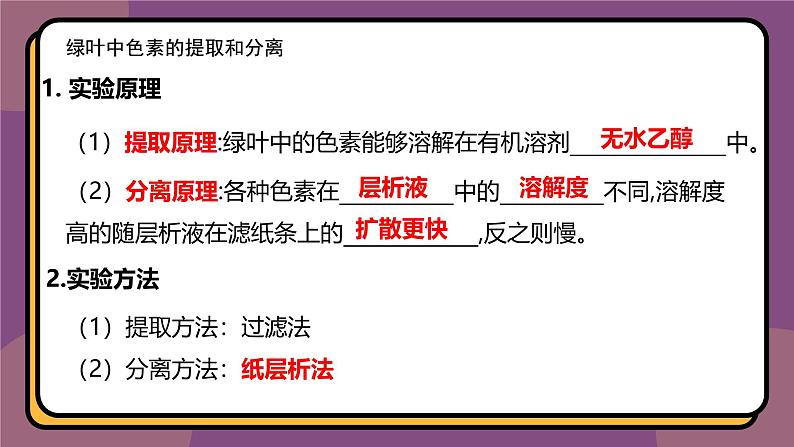 5.4.1捕获光能的色素和结构 教学课件 高一上学期 人教版（2019）高中生物必修1第6页