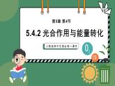 5.4.2光合作用的原理和应用 第1课时 教学课件 高一上学期 人教版（2019）高中生物必修1
