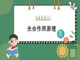 5.4.2光合作用的原理和应用 第1课时 教学课件 高一上学期 人教版（2019）高中生物必修1